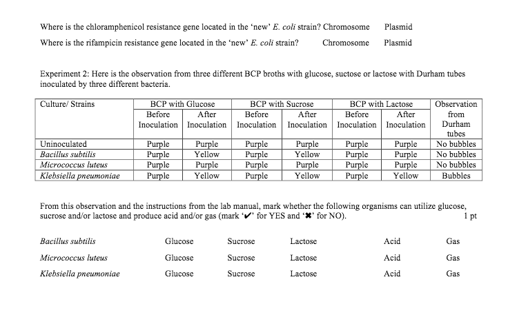 u tube experiment for conjugation