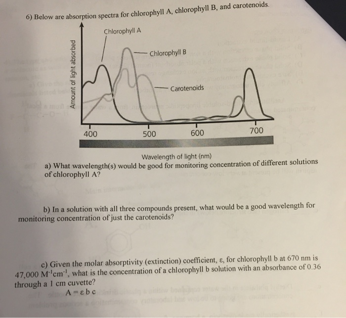 Absorption Spectrum Of Chlorophyll A And B And Carotenoids