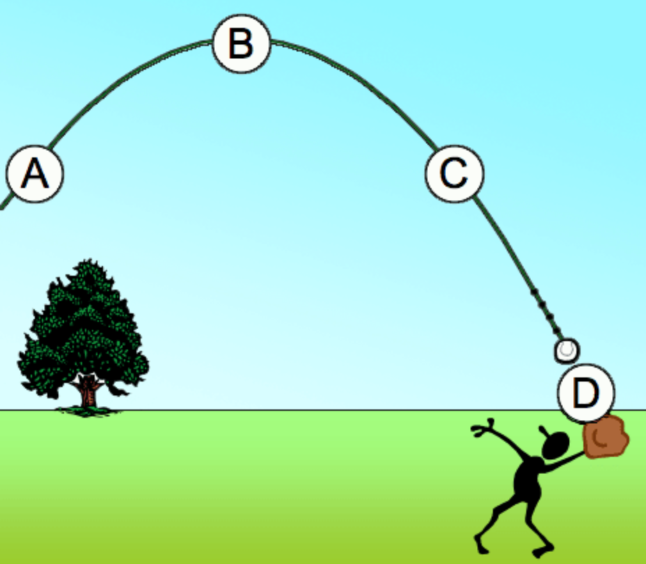 Solved The image shows the trajectory of baseball, with four | Chegg.com