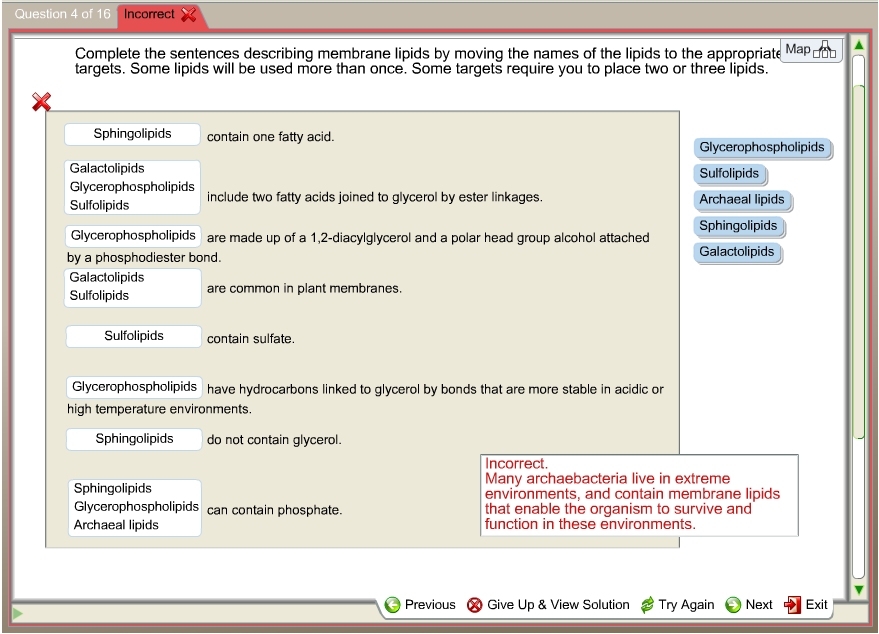 Solved Complete the sentences describing membrane lipids by