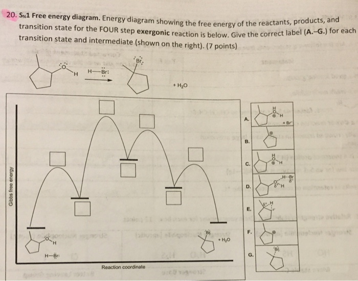 Solved SN1 Free energy diagram. Energy diagram showing the