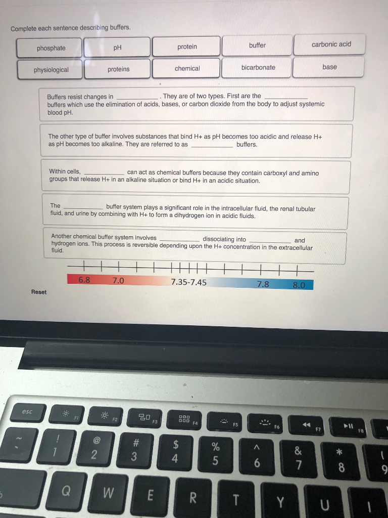 Solved Complete each sentence describing buffers. buffer