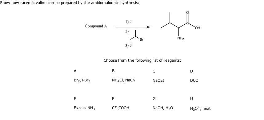 Solved Show how racemic valine can be prepared by the | Chegg.com