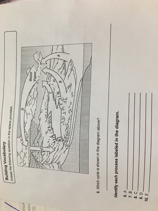 Solved Which cycle is shown in the diagram above? Identify | Chegg.com