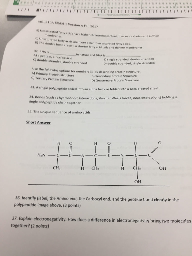Nucleic Acid Worksheet Answers