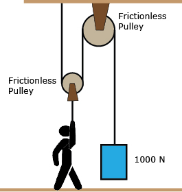 Solved Robert uses two pulleys to lift the 1000 N weight | Chegg.com