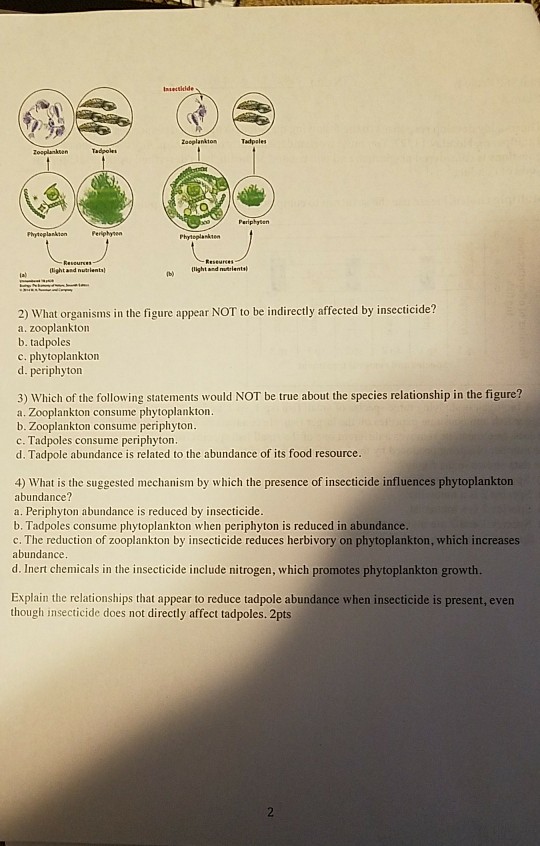 Solved (light And Nutrlent Light And Nutrients Al 2) What | Chegg.com