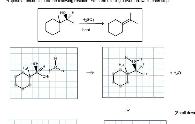 Solved Draw the correct product for the following reaction Chegg com