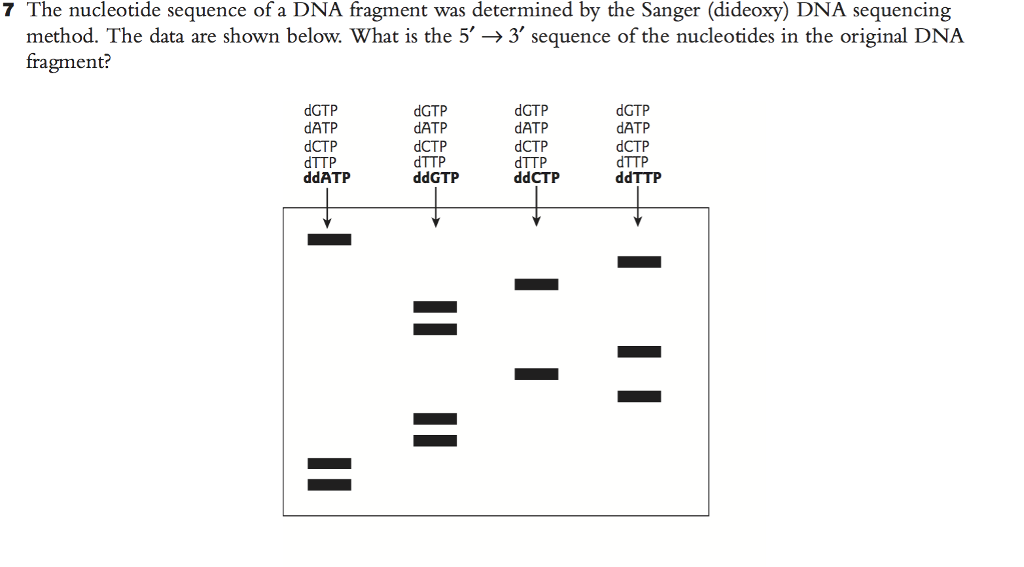 Solved The nucleotide sequence of a DNA fragment was | Chegg.com