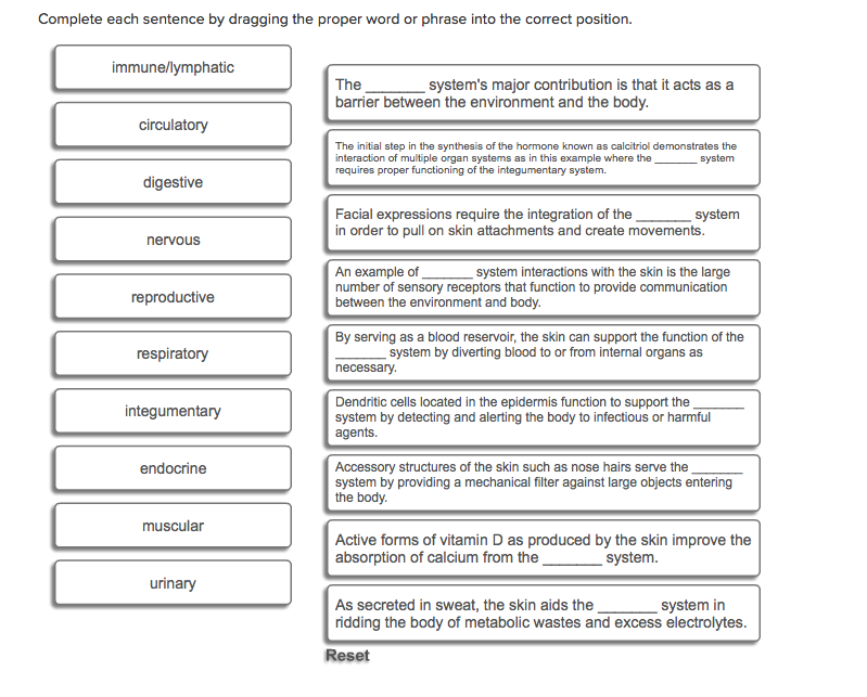 Complete Each Sentence With The Correct Word Not All Terms Will Be Used