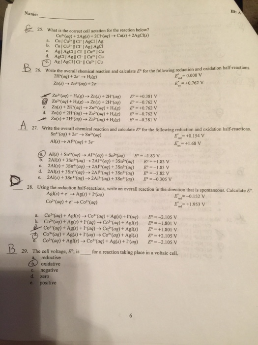 Solved ID: 25. What is the correct cell notation for the | Chegg.com