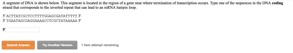 Solved A segment of DNA is shown below. This segment is | Chegg.com