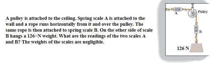 Solved A pulley is attached to the ceiling. Spring scale A | Chegg.com