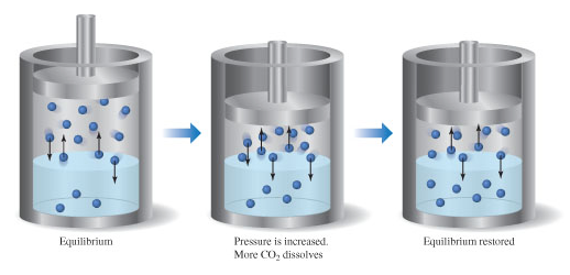 Solved 1-Equilibrium 2-pressure is increased more | Chegg.com