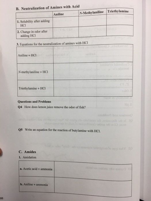 Solved Neutralization of Amines with Acid Equations for the