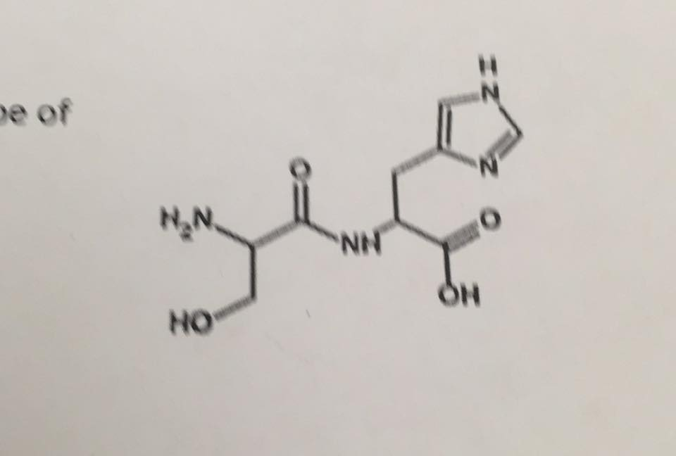 macromolecule-definition-and-examples