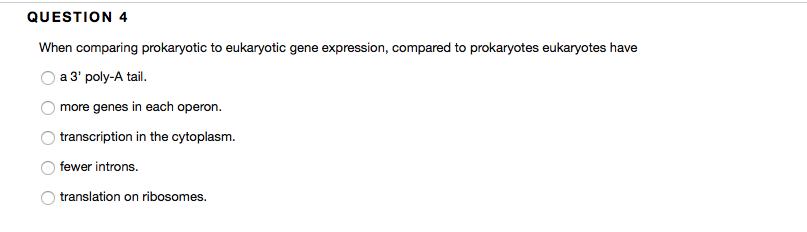 Solved When comparing prokaryotic to eukaryotic gene | Chegg.com