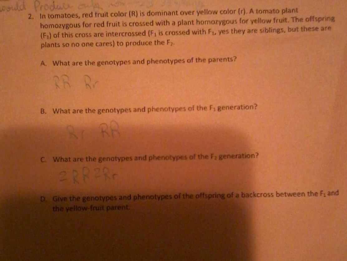 Biology Archive November 13, 2017