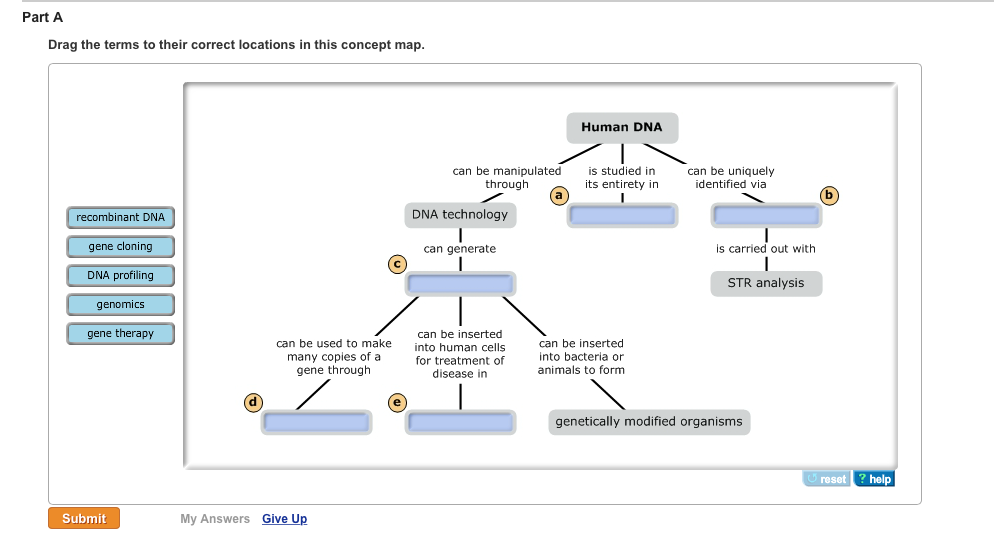 Drag The Vocabulary Terms Onto This Concept Map About The Components Of   PhpZiKRRF 