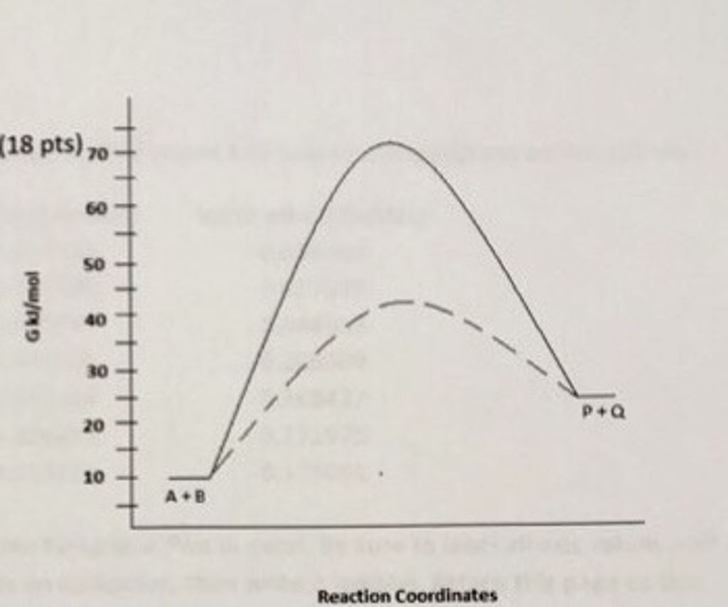 what-word-describes-the-synthesis-reactions-in-the-body