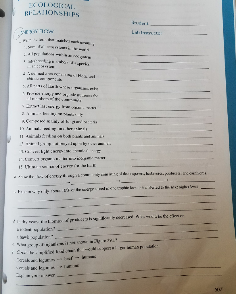 Solved ECOLOGICAL RELATIONSHIPS Student ENERGY FLOW Lab