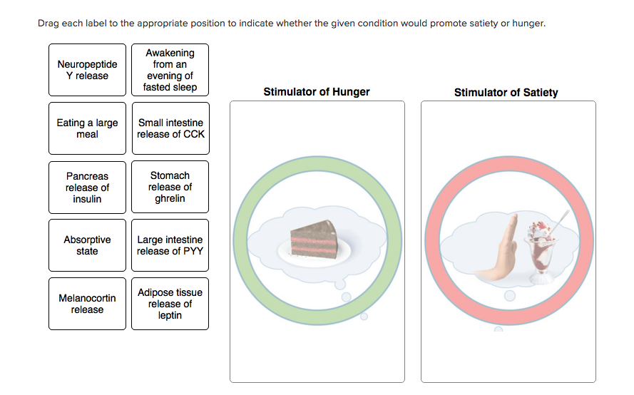 Solved Drag each label to the appropriate position to