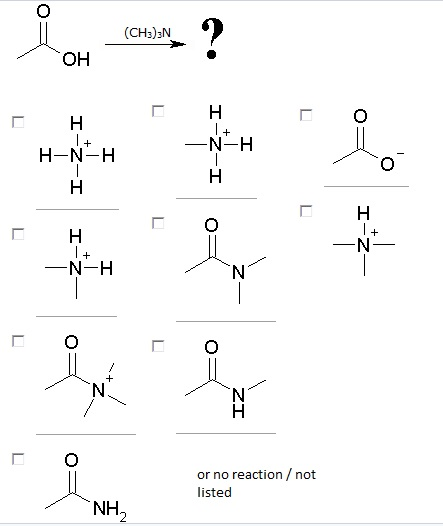 Solved O (CH3)3N OH 匚H H-N-H -N-H O 匚H O 匚H _N_H N N or no | Chegg.com