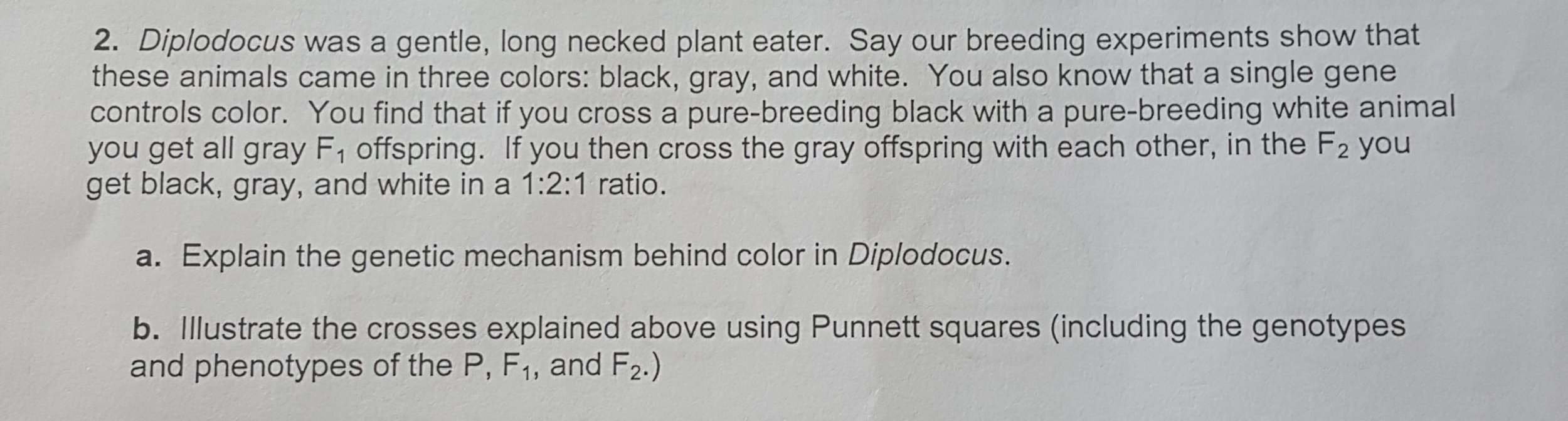 Solved Diplodocus was a gentle, long necked plant eater. Say | Chegg.com
