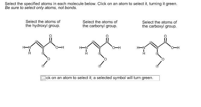 Solved Select the specified atoms in each molecule below. | Chegg.com
