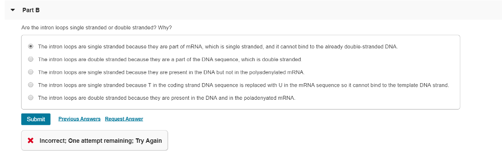 Solved The eukaryotic gene Gen-100 contains four introns | Chegg.com