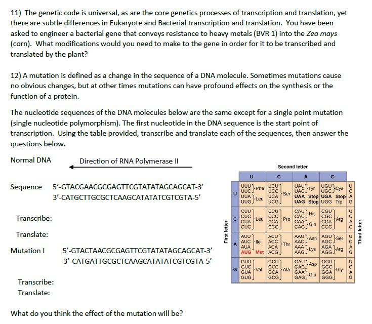 solved-11-the-genetic-code-is-universal-as-are-the-core-chegg