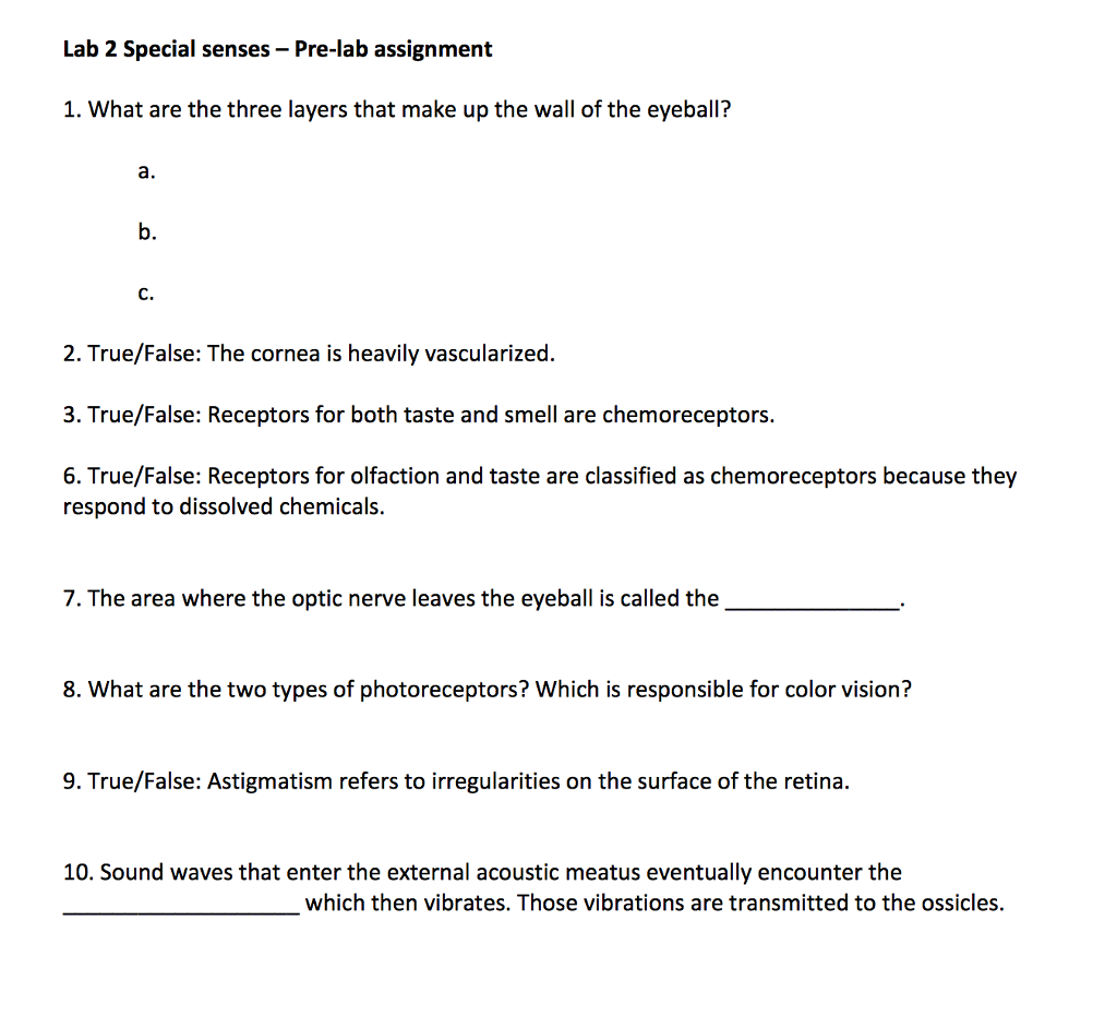 special senses assignment