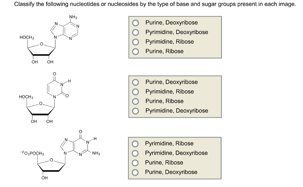 Solved Classify the following nucleotides or nucleosides by