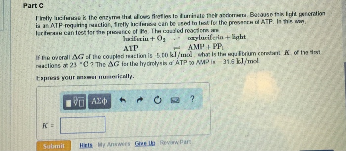 Solved Part C Firefly luciferase is the enzyme that allows Chegg com