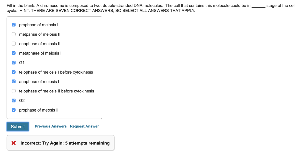 Select All That Apply. Chromosomes
