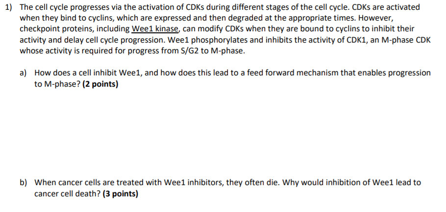 Solved 1) The cell cycle progresses via the activation of | Chegg.com