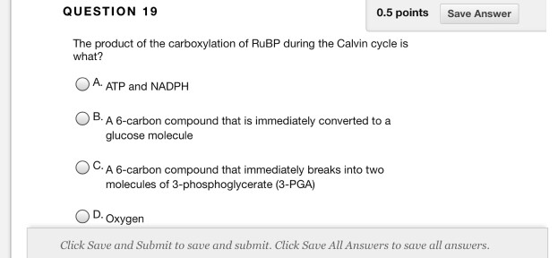 Solved QUESTION 11 1 points Save Answer Before rubisco can | Chegg.com
