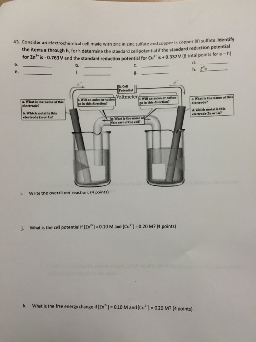 Solved 43. Consider an electrochemical cell made with zinc | Chegg.com