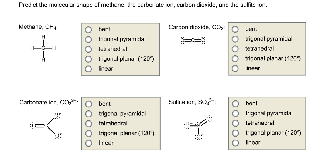 Label each carbon atom with the appropriate geometry