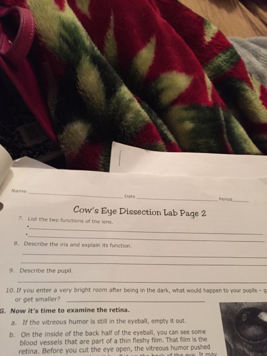 Solved Name Date Penod Cow's Eye Dissection Lab Page 2 7.