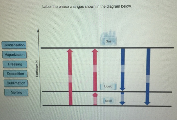 Solved: Label The Phase Changes Shown In The Diagram Below... | Chegg.com