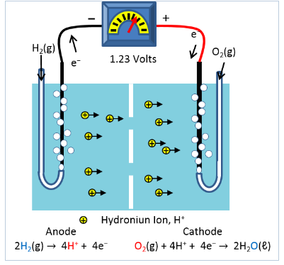 Solved Part A - Daniell Cell Select the best | Chegg.com