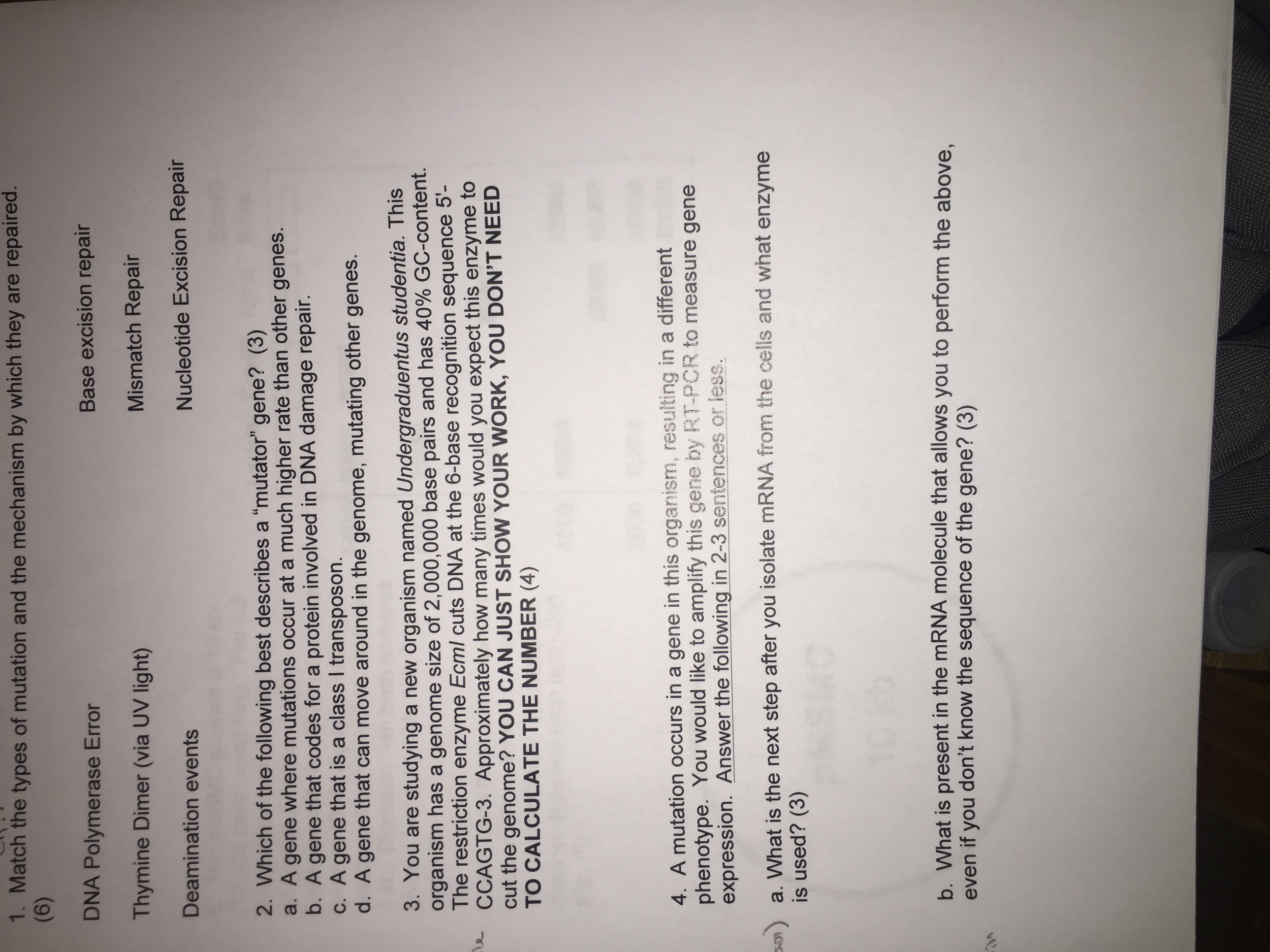 Solved Match the types of mutation and the mechanism by | Chegg.com