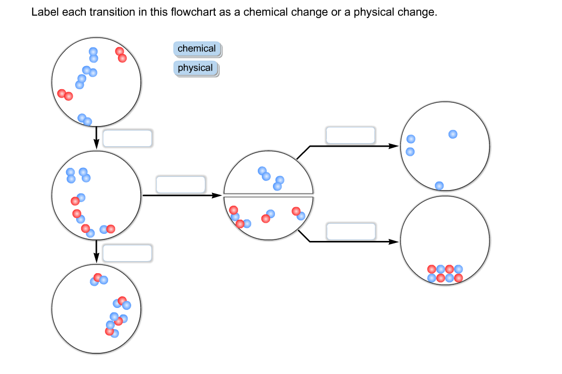 change examples vs physical chemical of change A This Chemi In   Label  Transition Each Chegg.com Flowchart As