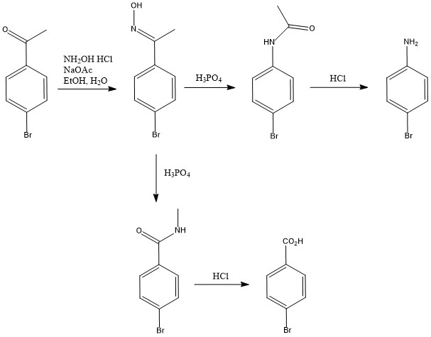 Solved ?? NH2 HN NH2OH HCi NaOAc EtOH, H20o HC1 NH CO2H HC1 | Chegg.com