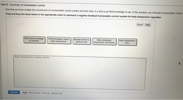 solved-now-that-you-have-studied-the-components-of-a-chegg