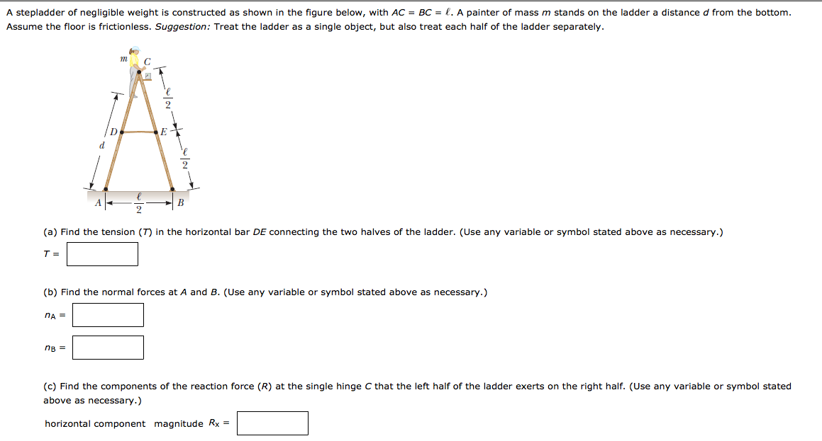 solved-a-stepladder-of-negligible-weight-is-constructed-as-chegg