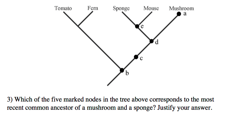 Solved Which of the five marked nodes in the tree above | Chegg.com