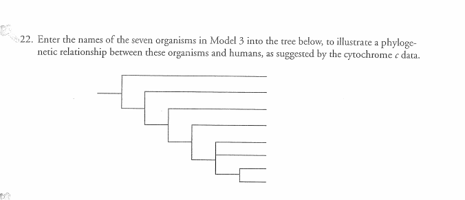 Solved Model 3-Comparing the Cytochrome c Gene Amino Acid | Chegg.com
