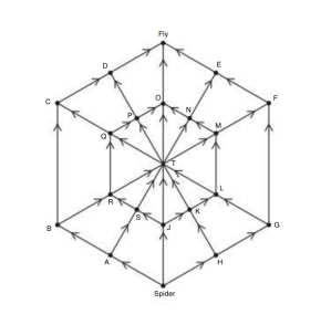 Consider the following spider-web graph that shows a | Chegg.com